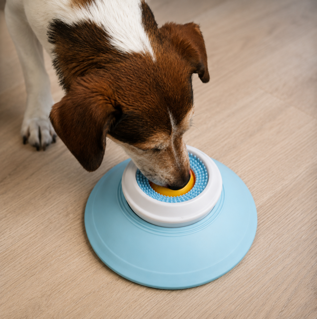 Blue Paw Multi-Purpose Hundenapf